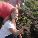 image042