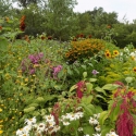 image062